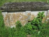 image of grave number 248638